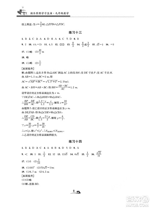 江苏凤凰美术出版社2025年快乐寒假学习生活九年级数学通用版答案