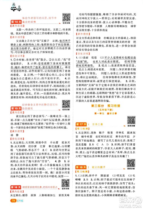 江西教育出版社2025年阳光同学寒假衔接五年级语文通用版湖北专版答案