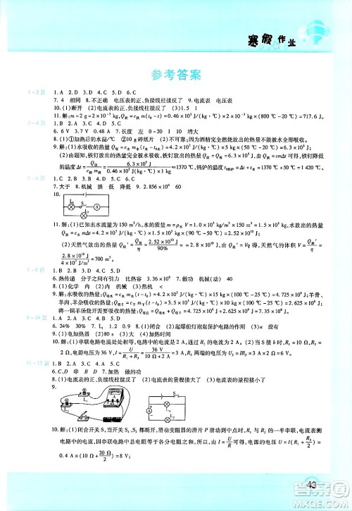 中原农民出版社2025年豫新锐寒假作业假期园地九年级物理人教版答案