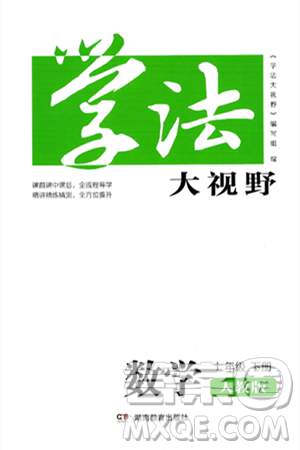 湖南教育出版社2025年春学法大视野七年级数学下册人教版答案 湖南教育出版社2025年春学法大视野七年级数学下册人教版答案