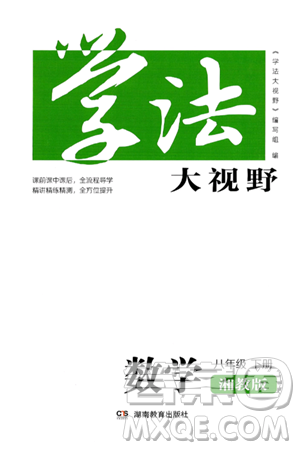 湖南教育出版社2025年春学法大视野八年级数学下册湘教版答案