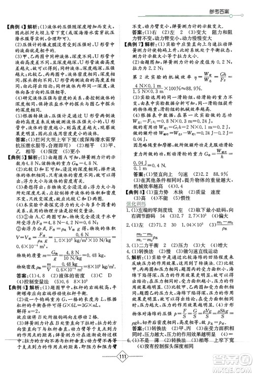 湖南教育出版社2025年春学法大视野九年级物理下册教科版答案