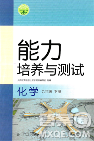人民教育出版社2025年春能力培养与测试九年级化学下册人教版答案 人民教育出版社2025年春能力培养与测试九年级化学下册人教版答案