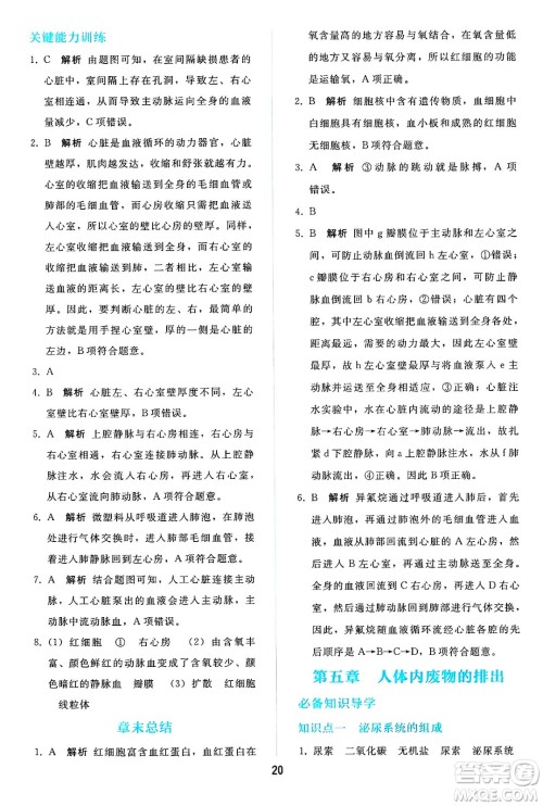 人民教育出版社2025年春同步轻松练习七年级生物下册人教版答案 人民教育出版社2025年春同步轻松练习七年级生物下册人教版答案
