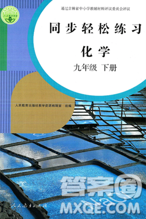 人民教育出版社2025年春同步轻松练习九年级化学下册人教版答案