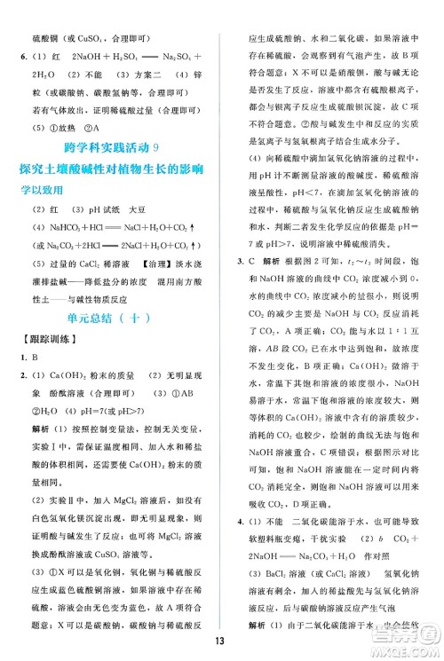 人民教育出版社2025年春同步轻松练习九年级化学下册人教版答案