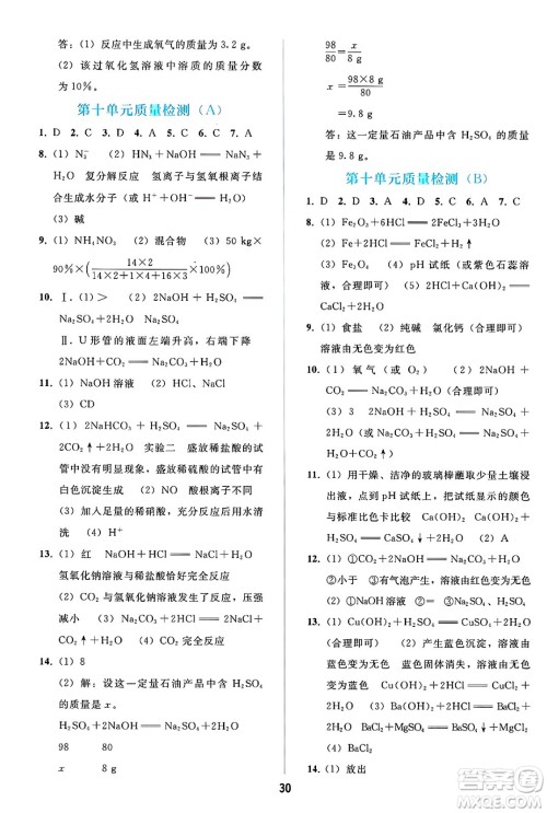 人民教育出版社2025年春同步轻松练习九年级化学下册人教版答案
