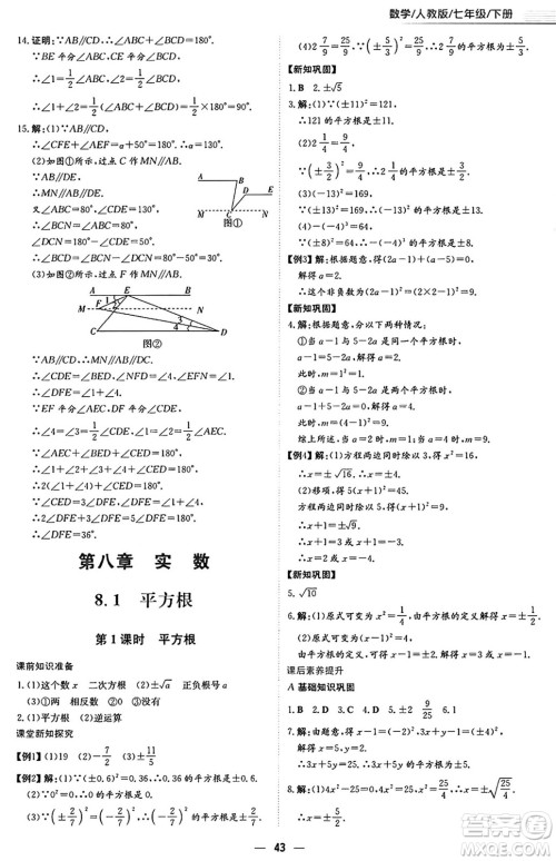 安徽教育出版社2025年春新编基础训练七年级数学下册人教版答案 安徽教育出版社2025年春新编基础训练七年级数学下册人教版答案