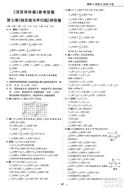 安徽教育出版社2025年春新编基础训练七年级数学下册人教版答案 安徽教育出版社2025年春新编基础训练七年级数学下册人教版答案