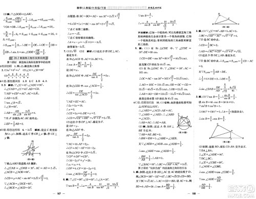 安徽教育出版社2025年春新编基础训练九年级数学下册人教版答案