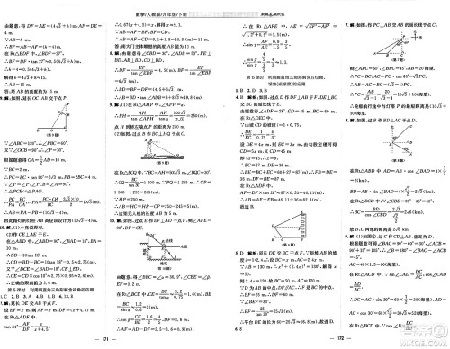 安徽教育出版社2025年春新编基础训练九年级数学下册人教版答案