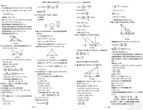 安徽教育出版社2025年春新编基础训练九年级数学下册人教版答案
