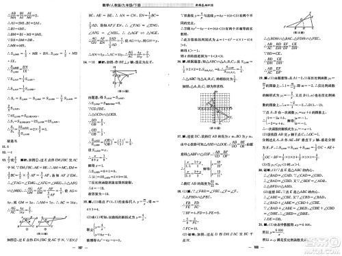 安徽教育出版社2025年春新编基础训练九年级数学下册人教版答案