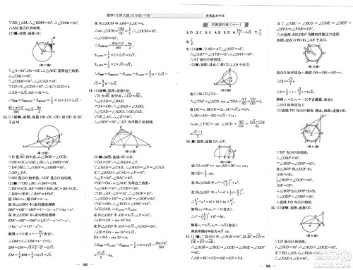 安徽教育出版社2025年春新编基础训练九年级数学下册北师大版答案