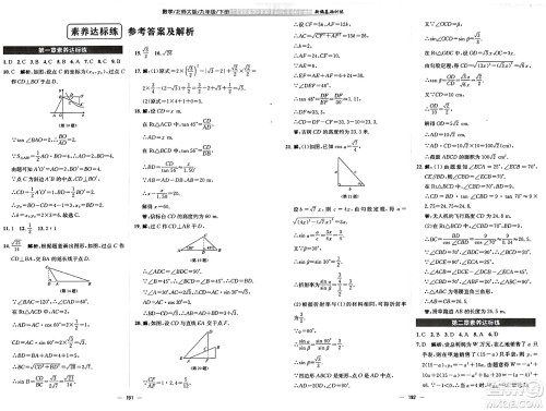安徽教育出版社2025年春新编基础训练九年级数学下册北师大版答案