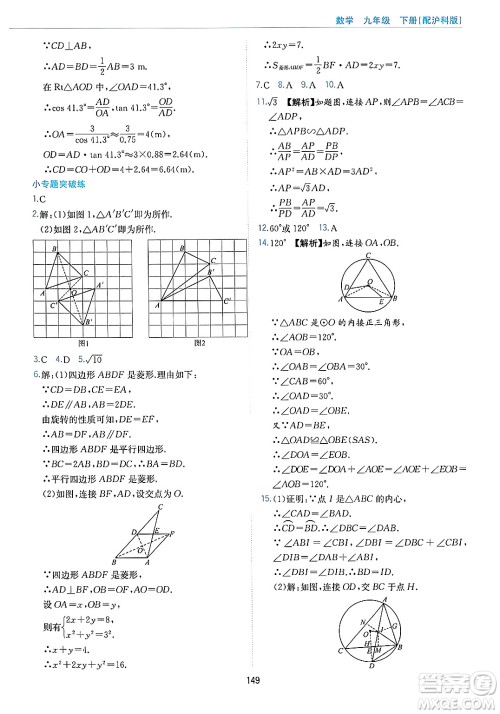 黄山出版社2025年春新编基础训练九年级数学下册沪科版答案