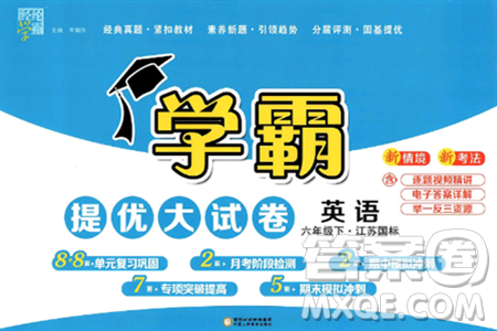 宁夏人民教育出版社2025年春经纶学霸学霸提优大试卷六年级英语下册江苏版答案