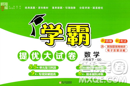 宁夏人民教育出版社2025年春经纶学霸学霸提优大试卷六年级数学下册青岛版答案