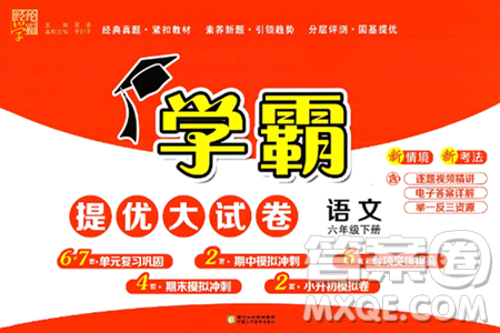 宁夏人民教育出版社2025年春经纶学霸学霸提优大试卷六年级语文下册通用版答案 宁夏人民教育出版社2025年春经纶学霸学霸提优大试卷六年级语文下册通用版答案