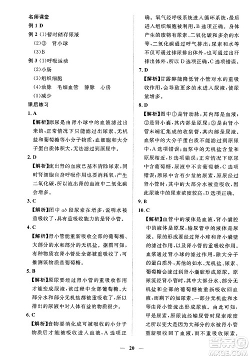 江西人民出版社2025年春一课一练创新练习七年级生物下册人教版答案 江西人民出版社2025年春一课一练创新练习七年级生物下册人教版答案