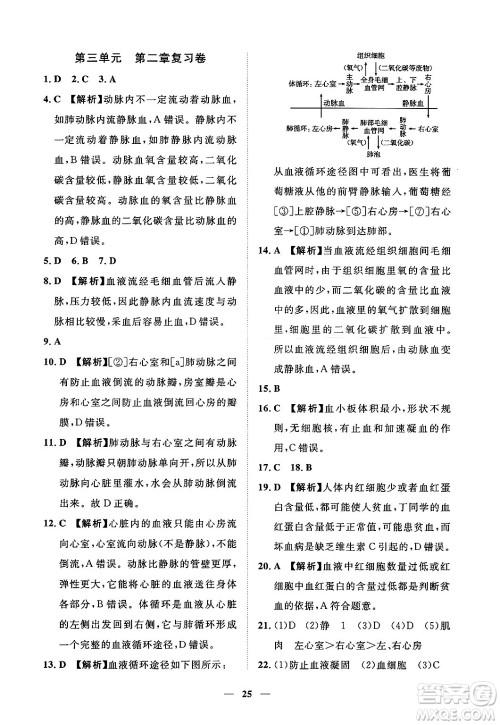 江西人民出版社2025年春一课一练创新练习七年级生物下册冀少版答案 江西人民出版社2025年春一课一练创新练习七年级生物下册冀少版答案