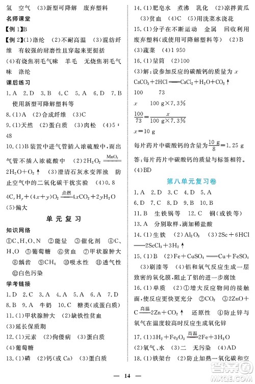 江西人民出版社2025年春一课一练创新练习九年级化学下册人教版答案