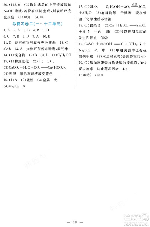 江西人民出版社2025年春一课一练创新练习九年级化学下册人教版答案