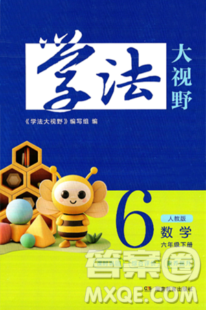 湖南教育出版社2025年春学法大视野六年级数学下册人教版答案