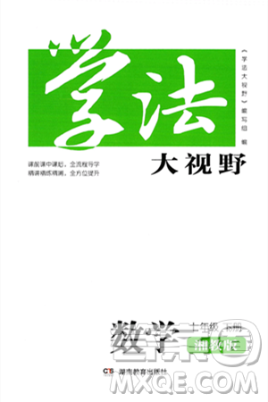 湖南教育出版社2025年春学法大视野七年级数学下册湘教版答案