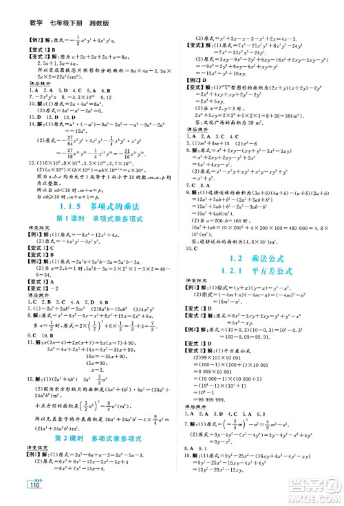 湖南教育出版社2025年春学法大视野七年级数学下册湘教版答案