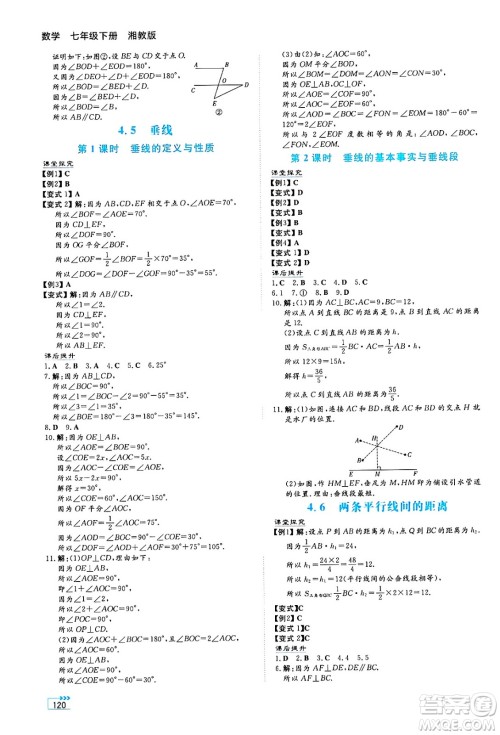 湖南教育出版社2025年春学法大视野七年级数学下册湘教版答案