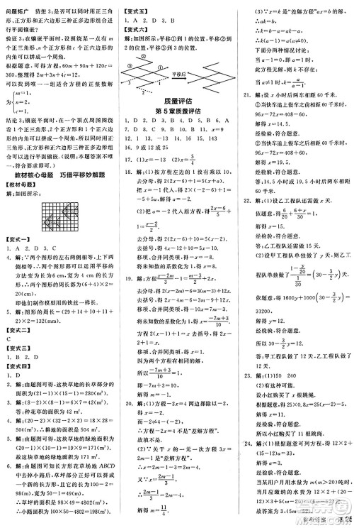 阳光出版社2025年春全品作业本七年级数学下册华师版福建专版答案