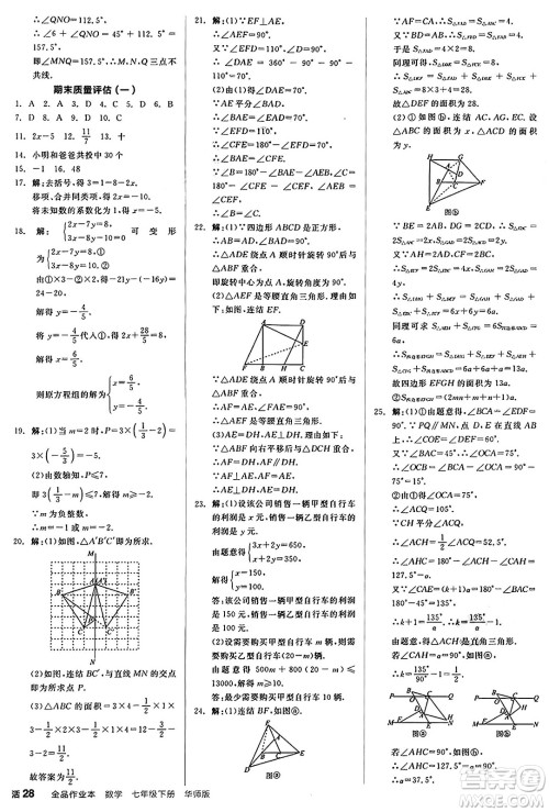 阳光出版社2025年春全品作业本七年级数学下册华师版福建专版答案