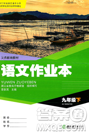 浙江教育出版社2025年春语文作业本九年级语文下册通用版答案