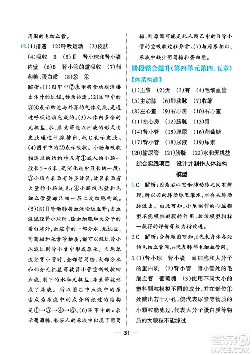 人民教育出版社2025年春同步解析与测评七年级生物下册人教版重庆专版答案