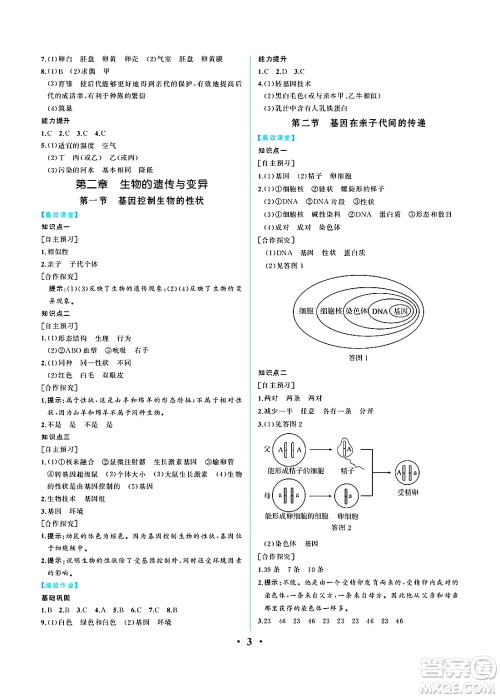 人民教育出版社2025年春人教金学典同步练习册同步解析与测评八年级生物下册人教版重庆专版答案 人民教育出版社2025年春人教金学典同步练习册同步解析与测评八年级生物下册人教版重庆专版答案