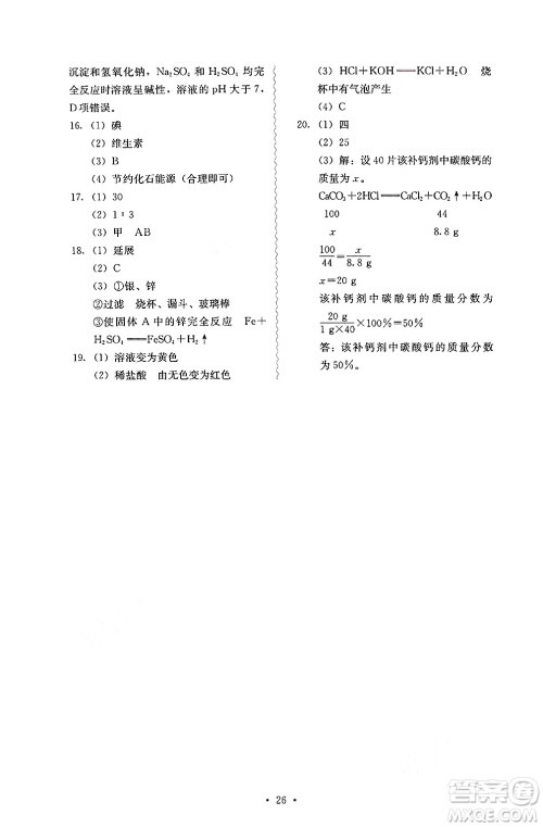 人民教育出版社2025年春人教金学典同步练习册同步解析与测评九年级化学下册人教版山西专版答案 人民教育出版社2025年春人教金学典同步练习册同步解析与测评九年级化学下册人教版山西专版答案
