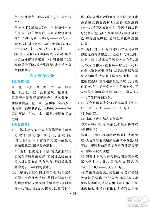 人民教育出版社2025年春同步解析与测评九年级化学下册人教版重庆专版答案 人民教育出版社2025年春同步解析与测评九年级化学下册人教版重庆专版答案