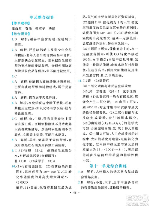 人民教育出版社2025年春同步解析与测评九年级化学下册人教版重庆专版答案 人民教育出版社2025年春同步解析与测评九年级化学下册人教版重庆专版答案