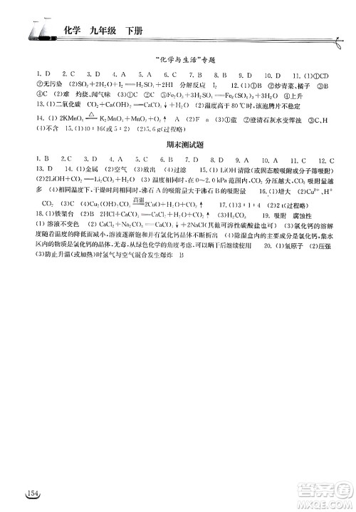 湖北教育出版社2025年春长江作业本同步练习册九年级化学下册人教版答案