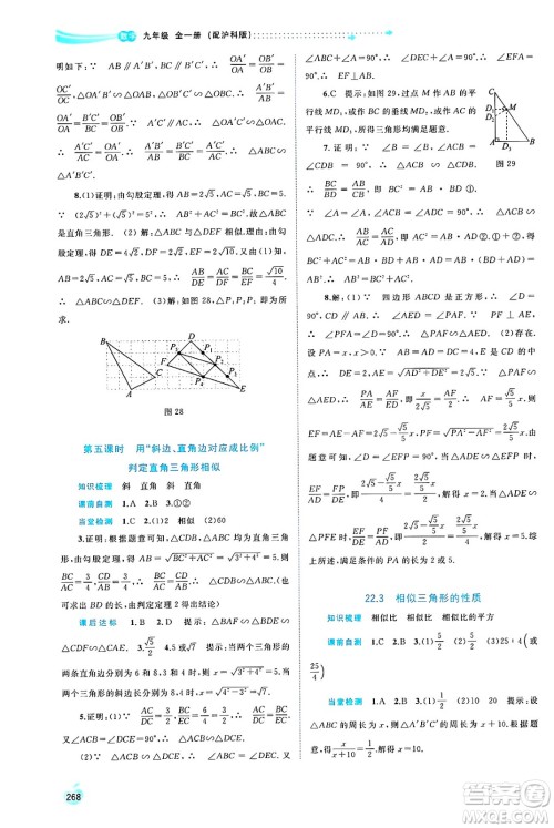 广西师范大学出版社2025年春新课程学习与测评同步学习九年级数学下册沪科版答案