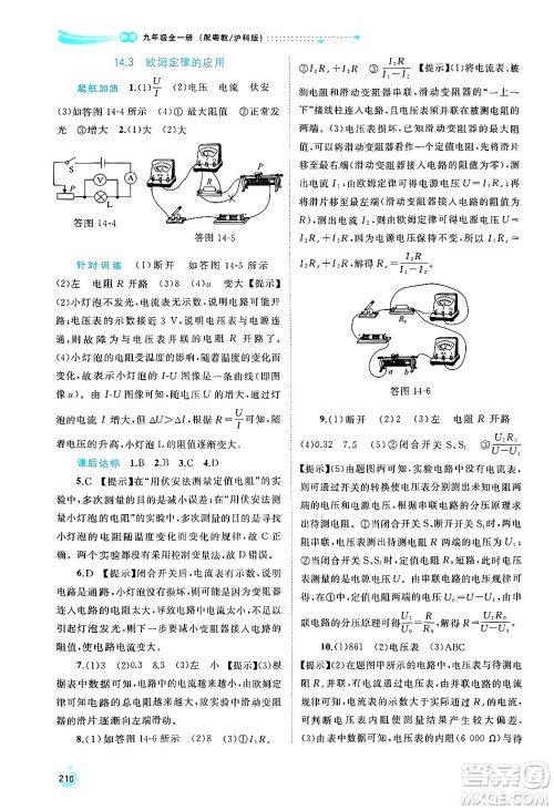 广西师范大学出版社2025年春新课程学习与测评同步学习九年级物理下册沪粤版答案