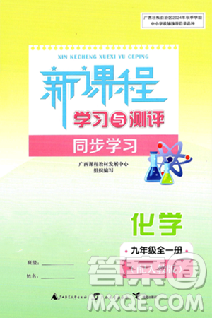 广西师范大学出版社2025年春新课程学习与测评同步学习九年级化学下册人教版答案