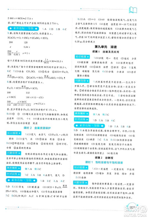 广西师范大学出版社2025年春新课程学习与测评同步学习九年级化学下册人教版答案