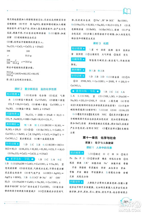 广西师范大学出版社2025年春新课程学习与测评同步学习九年级化学下册人教版答案