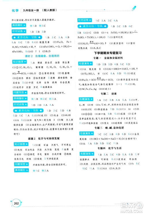 广西师范大学出版社2025年春新课程学习与测评同步学习九年级化学下册人教版答案
