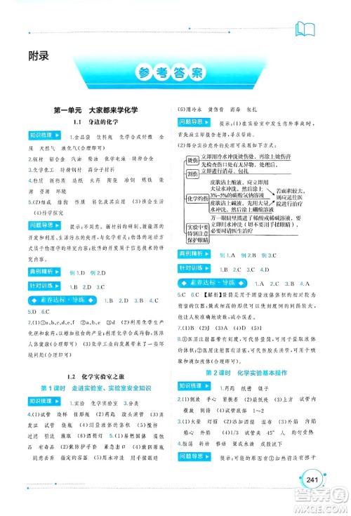 广西师范大学出版社2025年春新课程学习与测评同步学习九年级化学下册科粤版答案