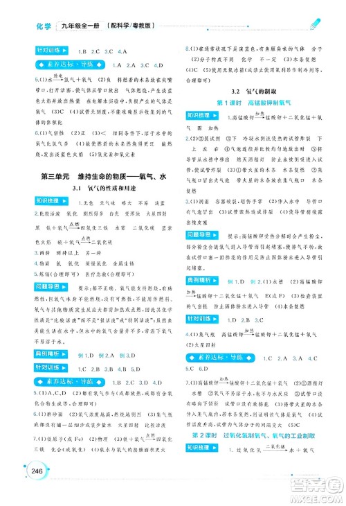 广西师范大学出版社2025年春新课程学习与测评同步学习九年级化学下册科粤版答案