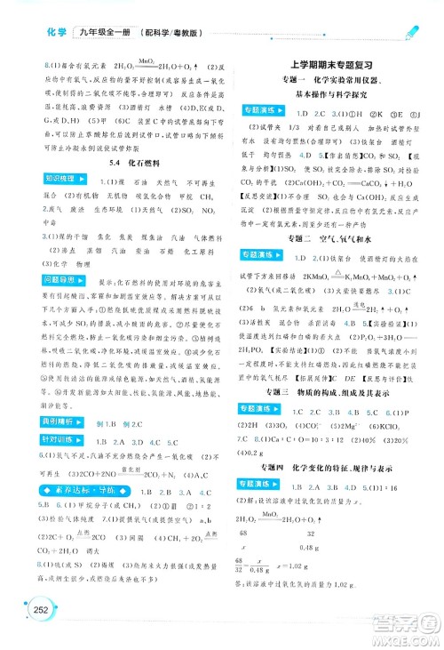 广西师范大学出版社2025年春新课程学习与测评同步学习九年级化学下册科粤版答案