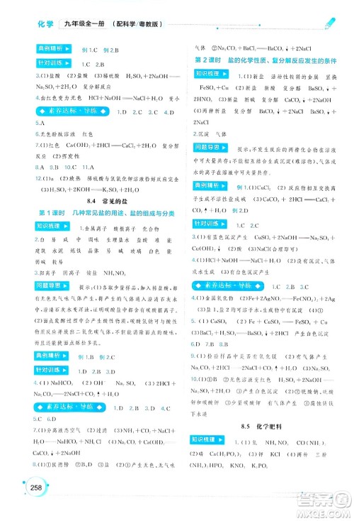 广西师范大学出版社2025年春新课程学习与测评同步学习九年级化学下册科粤版答案